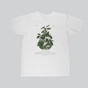 PLONTUR — PURVEYR "Green Manila" T-Shirt White